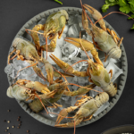 Живі раки малі