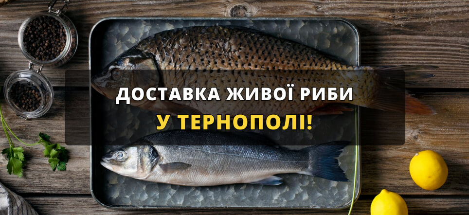 Жива риба Тернопіль