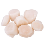 Мясо гребінців см 40-50шт/кг