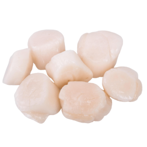 Мясо гребінців см 40-50шт/кг